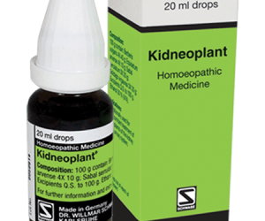 Kidneoplant®(কিডনী সুরক্ষা ও কিডনী পাথর)